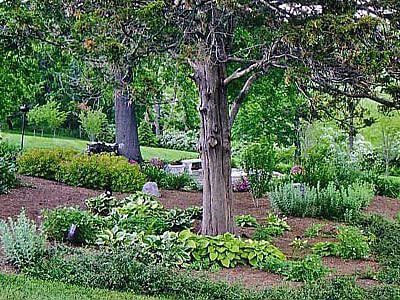 Landscape Planting, Branchburg, NJ